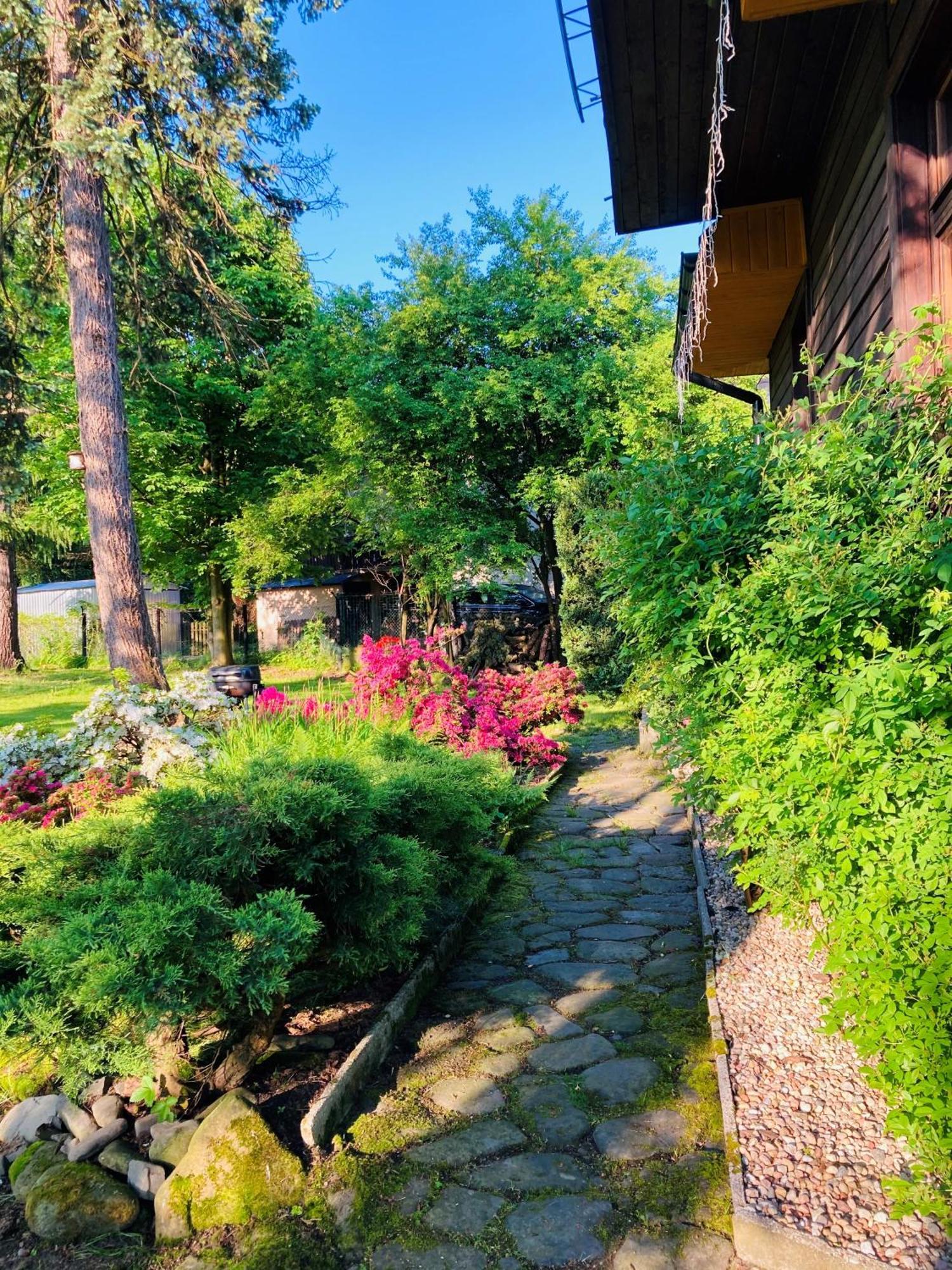 Villa Odskocznia House Szczyrk Esterno foto